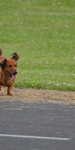 2013 Suche 29062013 Michal